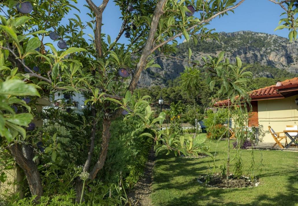Sandal Hotel Gocek المظهر الخارجي الصورة